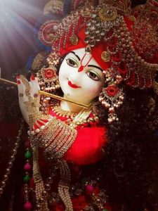 Read more about the article Govindashtakam-Lord Krishna Stuti(Hindi)-गोविन्दाष्टकं