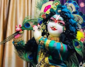 Read more about the article Shri Krishna Chalisa Hindi with meaning