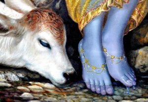 Read more about the article Shri Krishna Sharanam Mama Mantra and Benefits